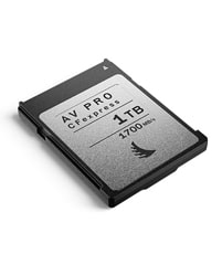 Angelbird AV Pro MK3 500GB
