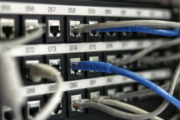 Ethernet cables in a network patch panel